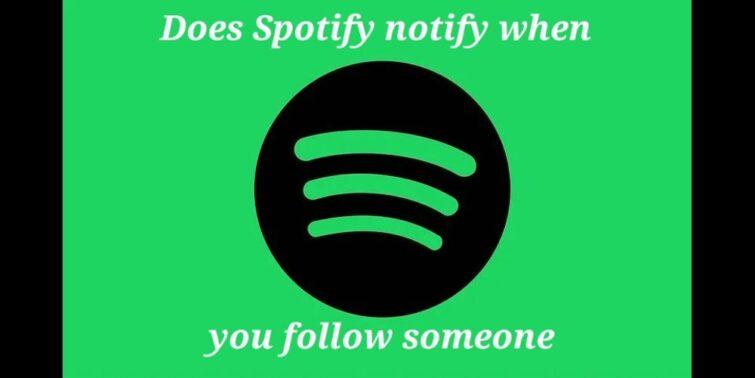 Does Spotify Notify When You Follow Someone